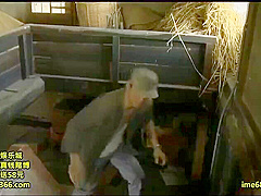 DOT494-XQDKWJGPNW142376034